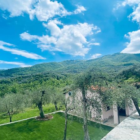 Casa Vacanze Gli Ulivi Borgomaro ภายนอก รูปภาพ
