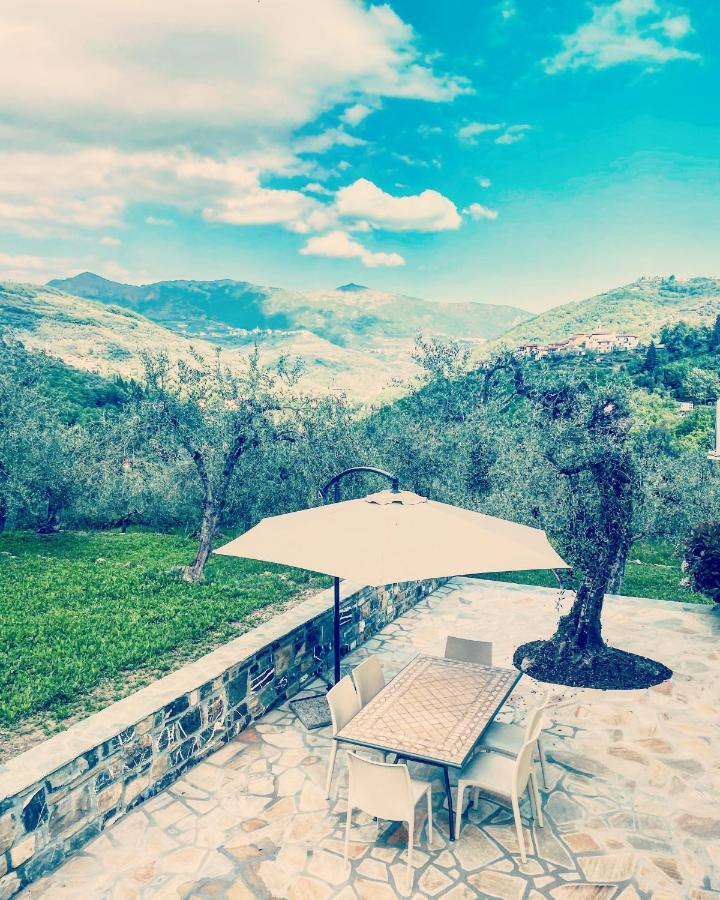 Casa Vacanze Gli Ulivi Borgomaro ภายนอก รูปภาพ