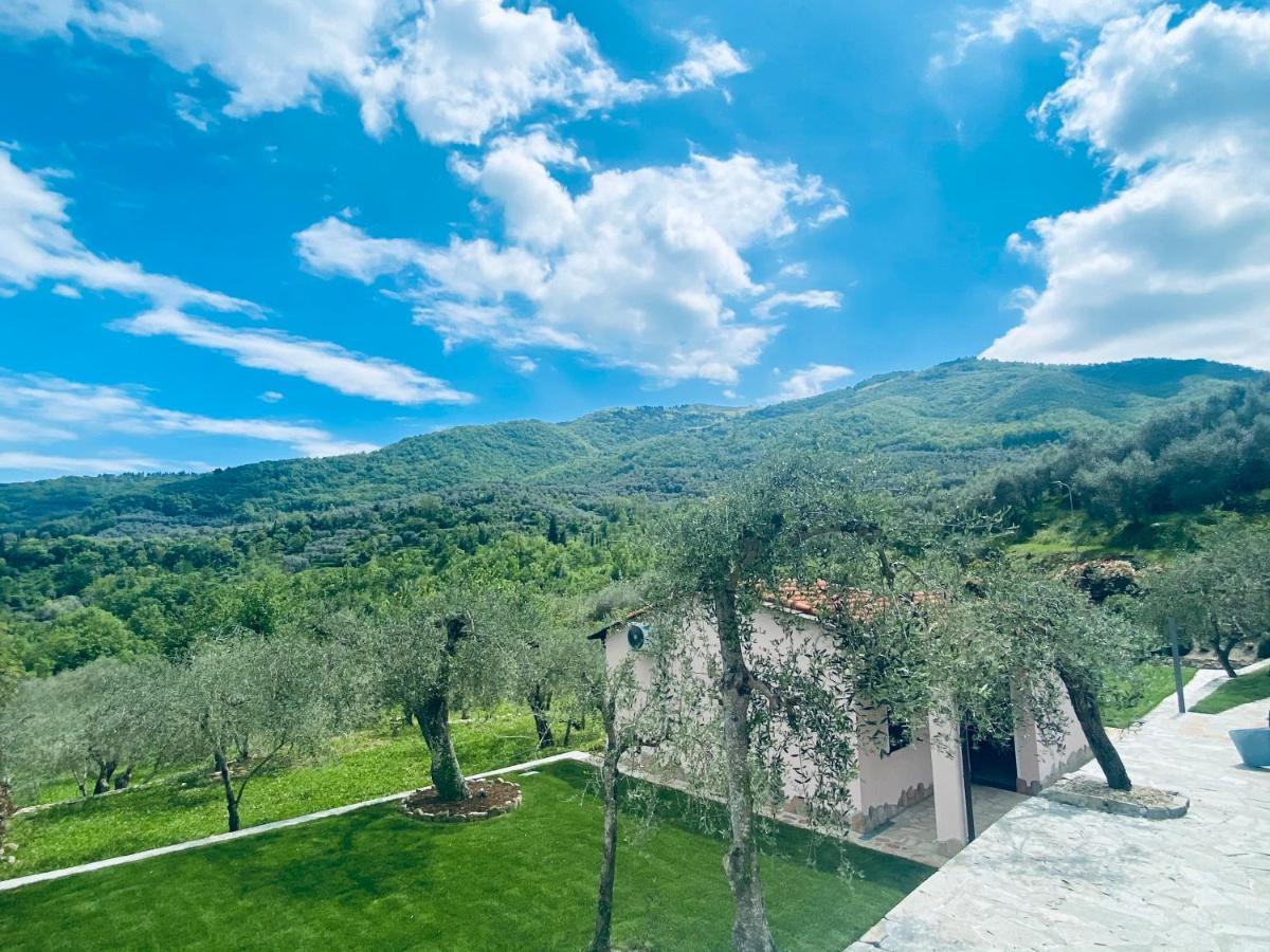 Casa Vacanze Gli Ulivi Borgomaro ภายนอก รูปภาพ