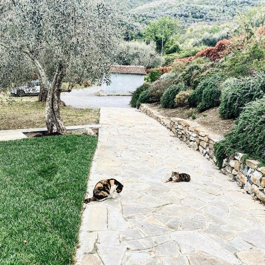Casa Vacanze Gli Ulivi Borgomaro ภายนอก รูปภาพ