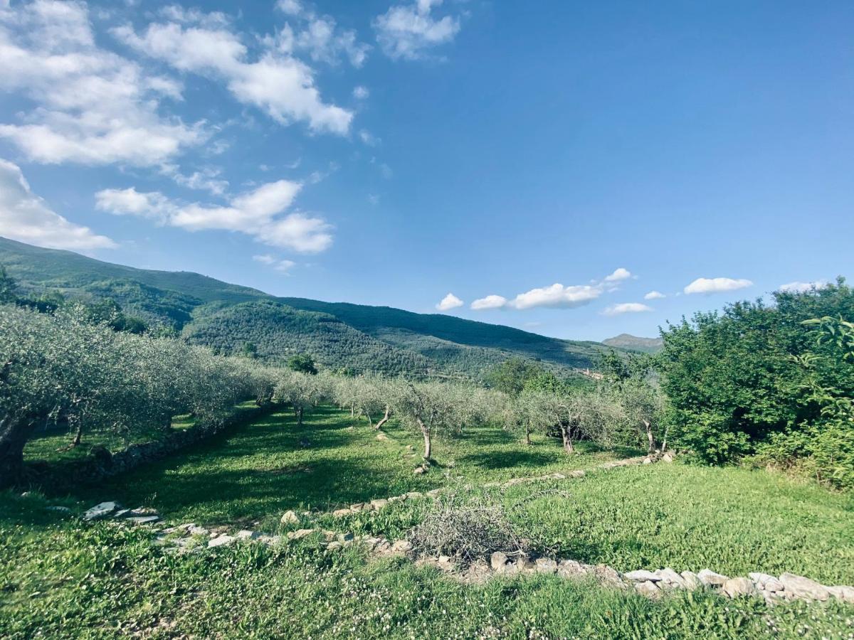 Casa Vacanze Gli Ulivi Borgomaro ภายนอก รูปภาพ