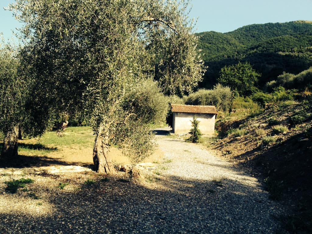 Casa Vacanze Gli Ulivi Borgomaro ห้อง รูปภาพ
