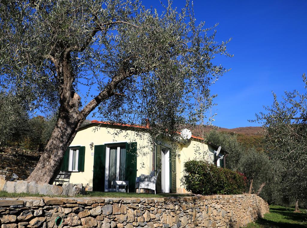Casa Vacanze Gli Ulivi Borgomaro ภายนอก รูปภาพ